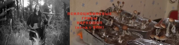 эйфоретик Алзамай