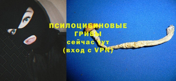 твердый Алексин